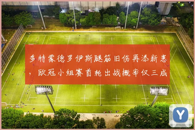 多特蒙德罗伊斯腿筋旧伤再添新患，欧冠小组赛首轮出战概率仅三成